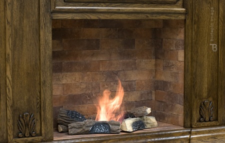 Биокамин Bioteplo Gentleman по цене 185 000 руб.